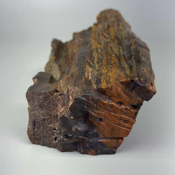 Petrified Wood - Picture 2 of 11